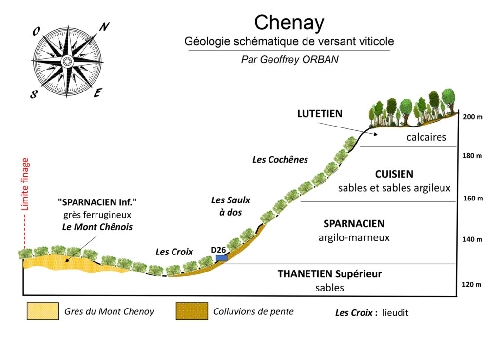 Chenay, un vignoble perché pour une fraîcheur pointue